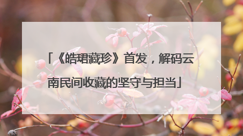 《皓珺藏珍》首发，解码云南民间收藏的坚守与担当