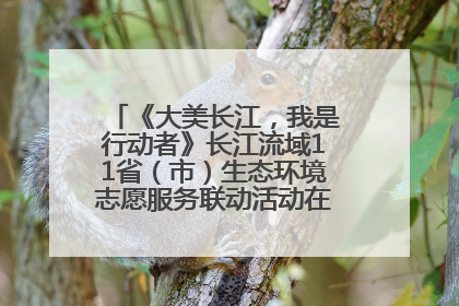 《大美长江，我是行动者》长江流域11省（市）生态环境志愿服务联动活动在江苏南通成功启动
