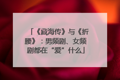 《藏海传》与《折腰》：男频剧、女频剧都在“爱”什么