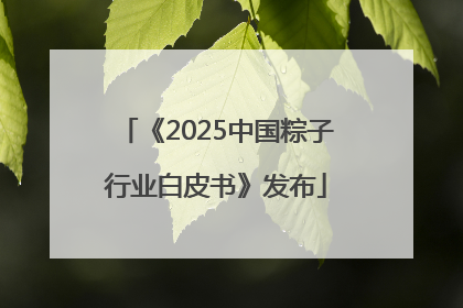 《2025中国粽子行业白皮书》发布