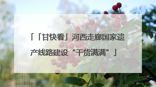「甘快看」河西走廊国家遗产线路建设“干货满满”