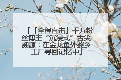 「全程直击」千万粉丝博主“沉浸式”舌尖溯源：在金龙鱼外婆乡工厂寻回记忆中