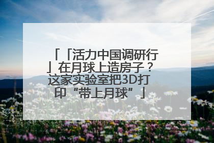 「活力中国调研行」在月球上造房子？这家实验室把3D打印“带上月球”