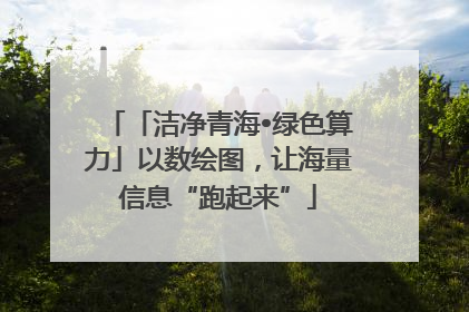 「洁净青海•绿色算力」以数绘图，让海量信息“跑起来”