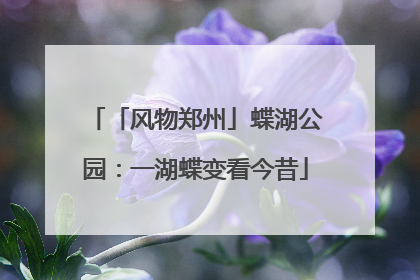 「风物郑州」蝶湖公园：一湖蝶变看今昔