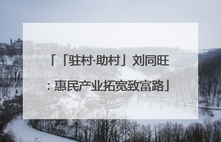 「驻村·助村」刘同旺：惠民产业拓宽致富路