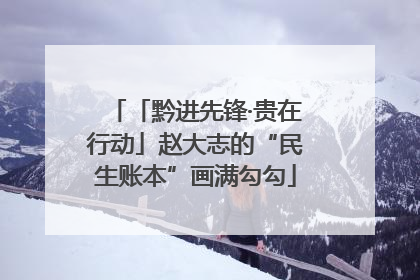 「黔进先锋·贵在行动」赵大志的“民生账本”画满勾勾