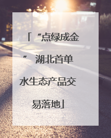 “点绿成金” 湖北首单水生态产品交易落地