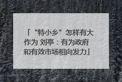 “特小乡”怎样有大作为 刘亭：有为政府和有效市场相向发力