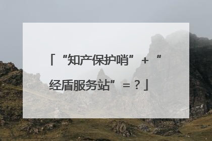 “知产保护哨”+“经盾服务站”=？