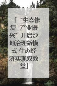 “生态修复+产业振兴”开启沙地治理新模式 生态经济实现双效益