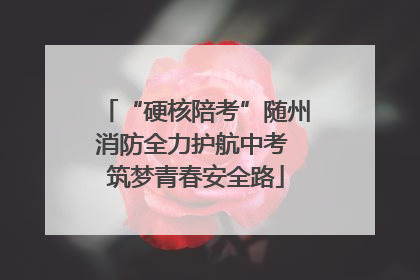 “硬核陪考”随州消防全力护航中考 筑梦青春安全路