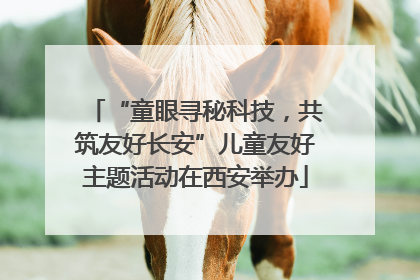 “童眼寻秘科技，共筑友好长安”儿童友好主题活动在西安举办
