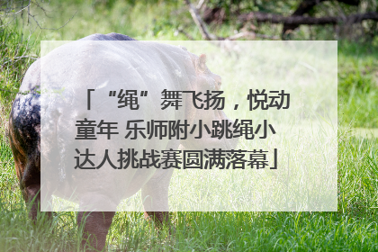 “绳”舞飞扬，悦动童年 乐师附小跳绳小达人挑战赛圆满落幕