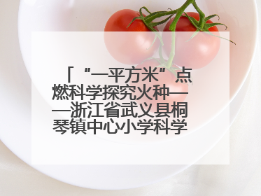 “一平方米”点燃科学探究火种——浙江省武义县桐琴镇中心小学科学教育的新探索