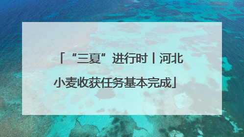 “三夏”进行时丨河北小麦收获任务基本完成