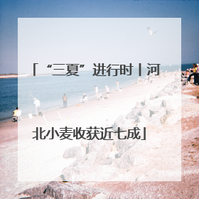 “三夏”进行时丨河北小麦收获近七成