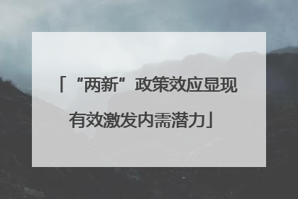 “两新”政策效应显现 有效激发内需潜力