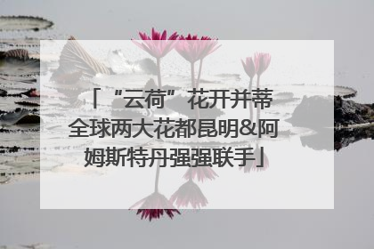“云荷”花开并蒂 全球两大花都昆明&阿姆斯特丹强强联手