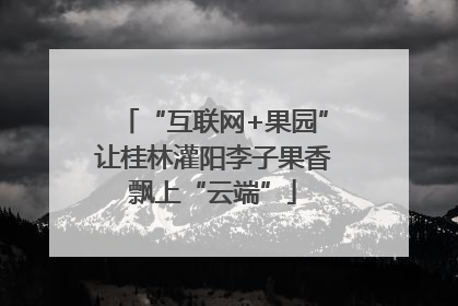 “互联网+果园”让桂林灌阳李子果香飘上“云端”