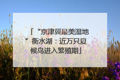 “京津冀最美湿地”衡水湖：近万只夏候鸟进入繁殖期