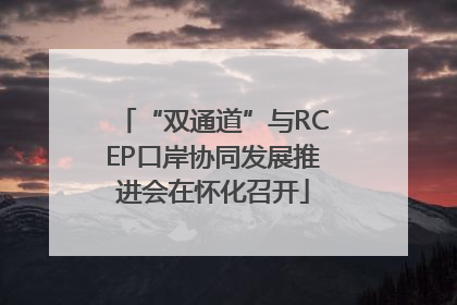 “双通道”与RCEP口岸协同发展推进会在怀化召开