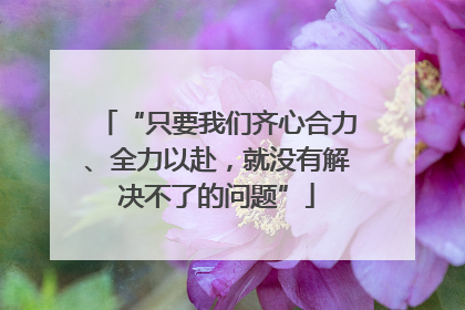 “只要我们齐心合力、全力以赴，就没有解决不了的问题”