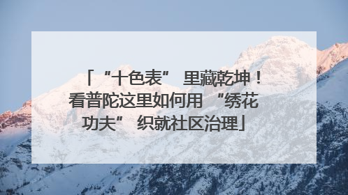 “十色表” 里藏乾坤！看普陀这里如何用 “绣花功夫” 织就社区治理