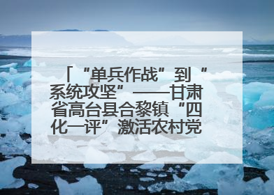 “单兵作战”到“系统攻坚”——甘肃省高台县合黎镇“四化一评”激活农村党员管理新引擎