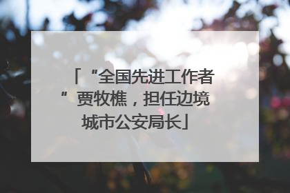 “全国先进工作者”贾牧樵，担任边境城市公安局长