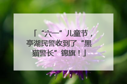“六一”儿童节，亭湖民警收到了“黑猫警长”锦旗！