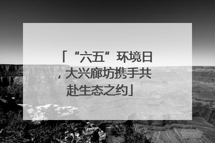 “六五”环境日，大兴廊坊携手共赴生态之约