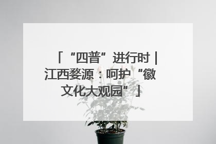 “四普”进行时｜江西婺源：呵护“徽文化大观园”