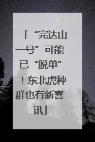 “完达山一号”可能已“脱单”！东北虎种群也有新喜讯