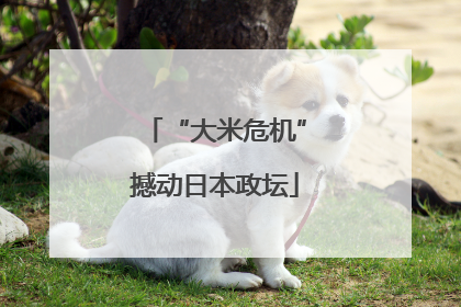 “大米危机”撼动日本政坛