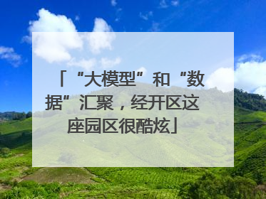 “大模型”和“数据”汇聚，经开区这座园区很酷炫