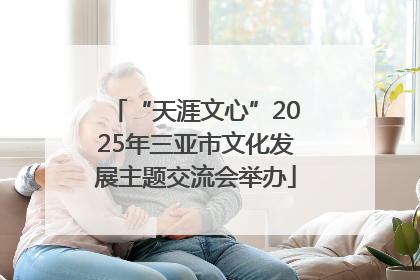 “天涯文心”2025年三亚市文化发展主题交流会举办