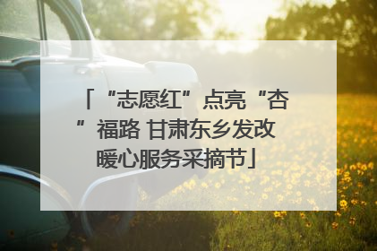 “志愿红”点亮“杏”福路 甘肃东乡发改暖心服务采摘节