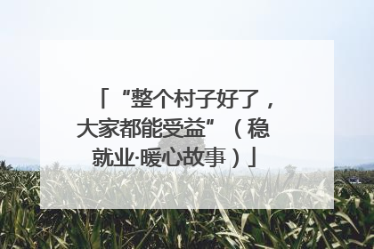 “整个村子好了，大家都能受益”（稳就业·暖心故事）