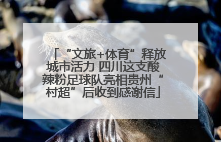 “文旅+体育”释放城市活力 四川这支酸辣粉足球队亮相贵州“村超”后收到感谢信