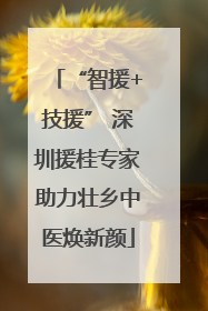 “智援+技援” 深圳援桂专家助力壮乡中医焕新颜