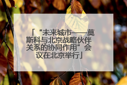 “未来城市——莫斯科与北京战略伙伴关系的协同作用”会议在北京举行