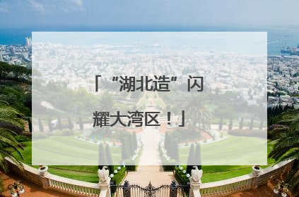 “湖北造”闪耀大湾区！