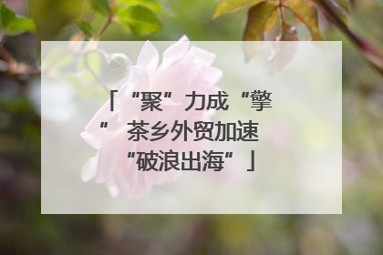 “聚”力成“擎” 茶乡外贸加速“破浪出海”