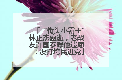 “街头小霸王”林正杰癌逝，老战友许国泰曝他遗愿：没打垮民进党