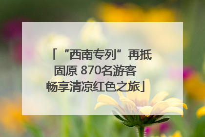 “西南专列”再抵固原 870名游客畅享清凉红色之旅