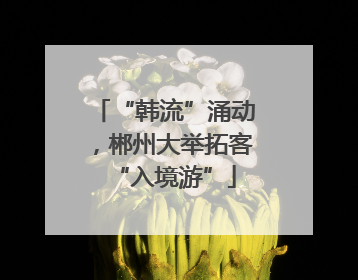 “韩流”涌动，郴州大举拓客“入境游”