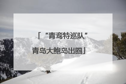 “青鸾特巡队”青岛大鲍岛出圈