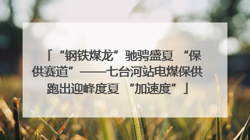 “钢铁煤龙”驰骋盛夏 “保供赛道”——七台河站电煤保供跑出迎峰度夏 “加速度”
