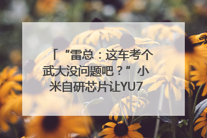 “雷总：这车考个武大没问题吧？”小米自研芯片让YU7会学习｜汽车科技